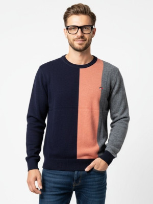 FORWARDS Striped Round Neck Casual Men Dark Blue Sweater