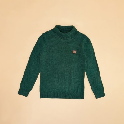 Pantaloons Junior Solid Round Neck Casual Boys Green Sweater