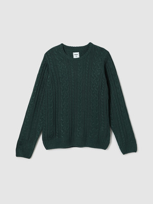 MAX Woven Round Neck Casual Boys Green Sweater