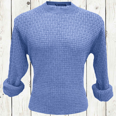 Cat Bunny Solid Round Neck Casual Men Light Blue Sweater
