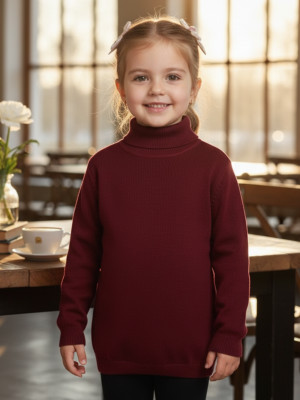 salvia Solid High Neck Casual Baby Girls Maroon Sweater