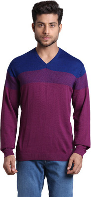 PARK AVENUE Colorblock V Neck Casual Men Purple, Blue Sweater