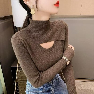 Lugo Solid High Neck Casual Women Brown Sweater