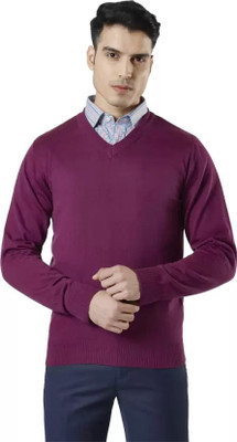 Life and style Solid V Neck Casual Men Purple Sweater