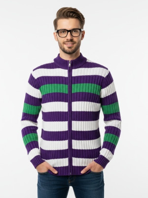 FORWARDS Striped Turtle Neck Casual Men Multicolor Sweater