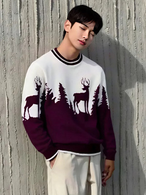 HouseOfCommon Printed, Self Design Round Neck Casual Men Maroon, White Sweater