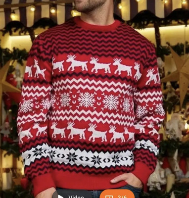 Shamala group Animal Print Round Neck Casual Men Multicolor Sweater