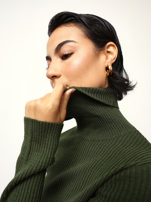 High Star Self Design Turtle Neck Casual Women Green Sweater