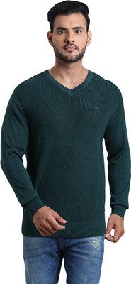 COLORPLUS Solid V Neck Casual Men Green Sweater