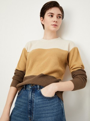 MAX Solid Round Neck Casual Women Brown Sweater