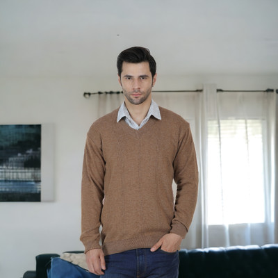 GLAUCUS Solid V Neck Casual Men Brown Sweater