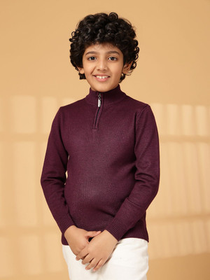 Albion Solid High Neck Casual Boys Purple Sweater