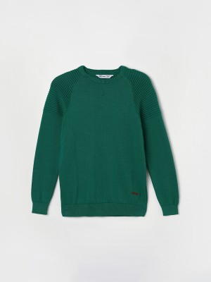 Fame Forever by Lifestyle Solid Round Neck Casual Boys Green Sweater