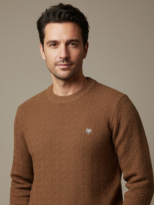 AIN6 Self Design Round Neck Casual Men Brown Sweater