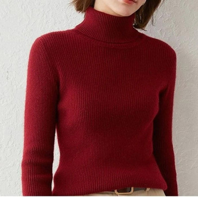 Pachirisu Solid High Neck Casual Women Maroon Sweater