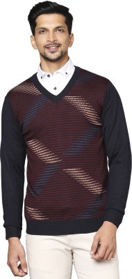 Raymond Self Design V Neck Casual Men Multicolor Sweater