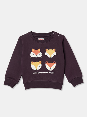 R&B Full Sleeve Graphic Print Baby Boys Sweatshirt