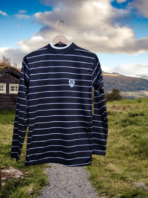 AE Trend Full Sleeve Striped Men Sweatshirt