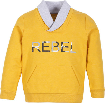 Plum Tree Full Sleeve Printed Boys Sweatshirt