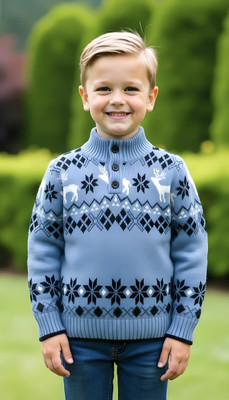 Chichi Full Sleeve Printed Boys & Girls Sweatshirt