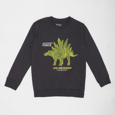 Pantaloons Junior Full Sleeve Printed Boys Sweatshirt
