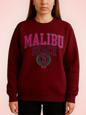 Stylezone Full Sleeve Self Design Women Sweatshirt