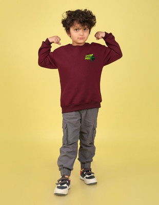 Nusyl Full Sleeve Printed Boys Sweatshirt