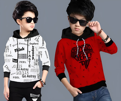 LilBits Full Sleeve Printed Boys Sweatshirt