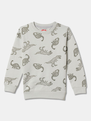 R&B Full Sleeve Graphic Print Boys Sweatshirt