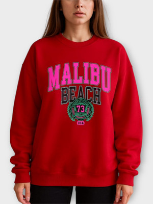 Stylezone Full Sleeve Printed Women Sweatshirt