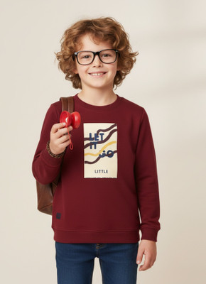 Color Hunt Full Sleeve Printed Boys Sweatshirt
