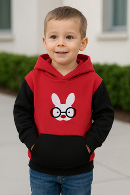 jpf Full Sleeve Color Block Boys Sweatshirt
