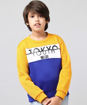 Trendy World Full Sleeve Printed, Color Block Boys Sweatshirt