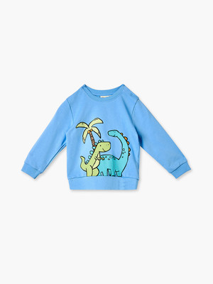 JUNIORS by Babyshop Full Sleeve Printed Boys Sweatshirt