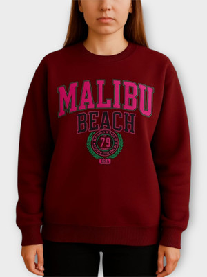 Stylezone Full Sleeve Printed Women Sweatshirt