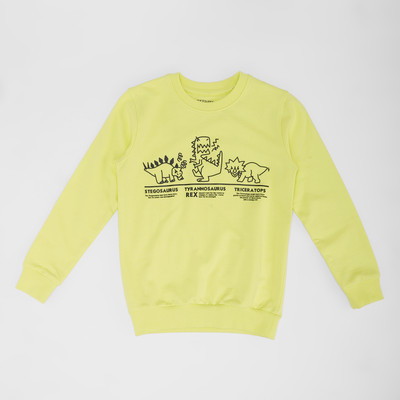 Pantaloons Junior Full Sleeve Printed Boys Sweatshirt