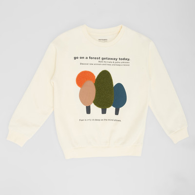 Pantaloons Junior Full Sleeve Printed Boys Sweatshirt