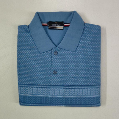 COLORTRAIT Solid, Striped Men Polo Neck Green T-Shirt