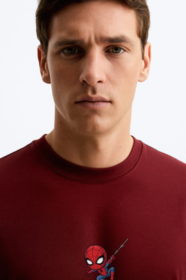 Teesverse Cartoon, Superhero Men Round Neck Maroon T-Shirt