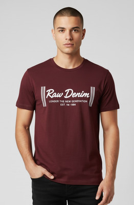 SAND PIPER Solid Men Round Neck Maroon T-Shirt