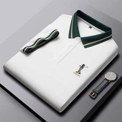 DLooK Designer Solid, Embroidered, Striped Men Polo Neck White T-Shirt