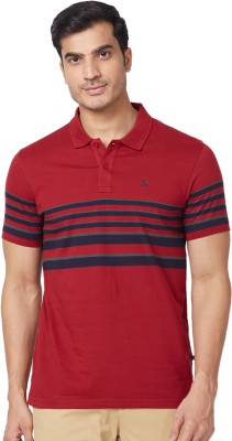 PARX Striped Men Polo Neck Maroon T-Shirt