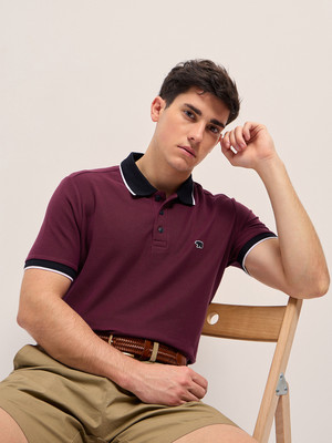 THE BEAR HOUSE Solid Men Polo Neck Maroon T-Shirt