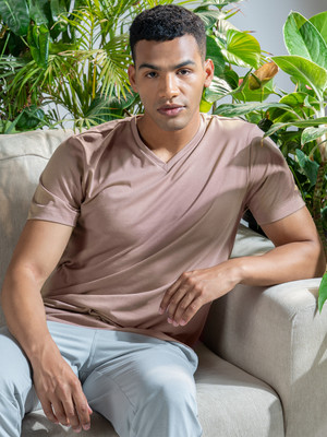 Damensch Solid Men V Neck Grey T-Shirt