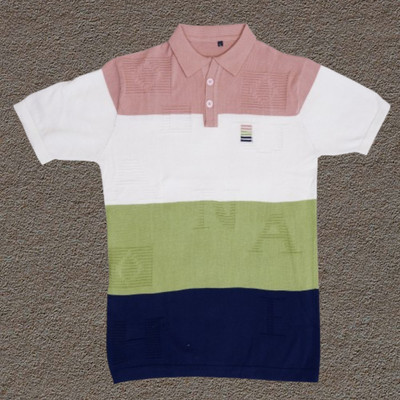 zanskarman Solid Men Polo Neck Green T-Shirt