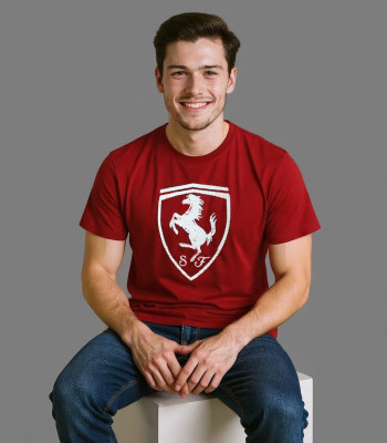 Fashion Fusion Graphic Print Men Round Neck Maroon T-Shirt