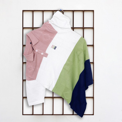 zanskar Colorblock Men Polo Neck Green T-Shirt