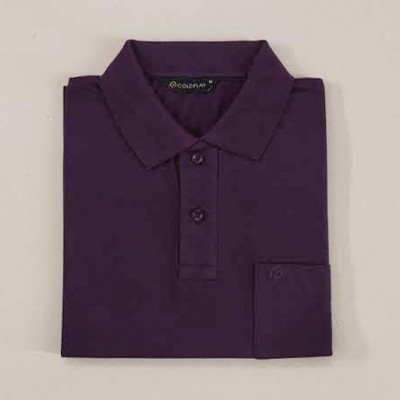 COLORTRAIT Solid Men Polo Neck Purple T-Shirt