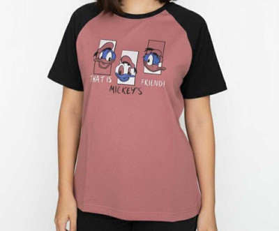 rahul Colorblock Women Round Neck Pink T-Shirt