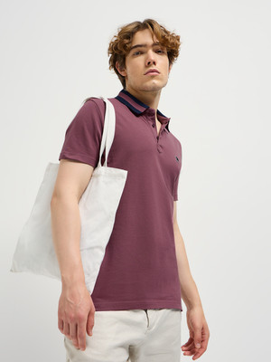 THE BEAR HOUSE Solid Men Polo Neck Purple T-Shirt